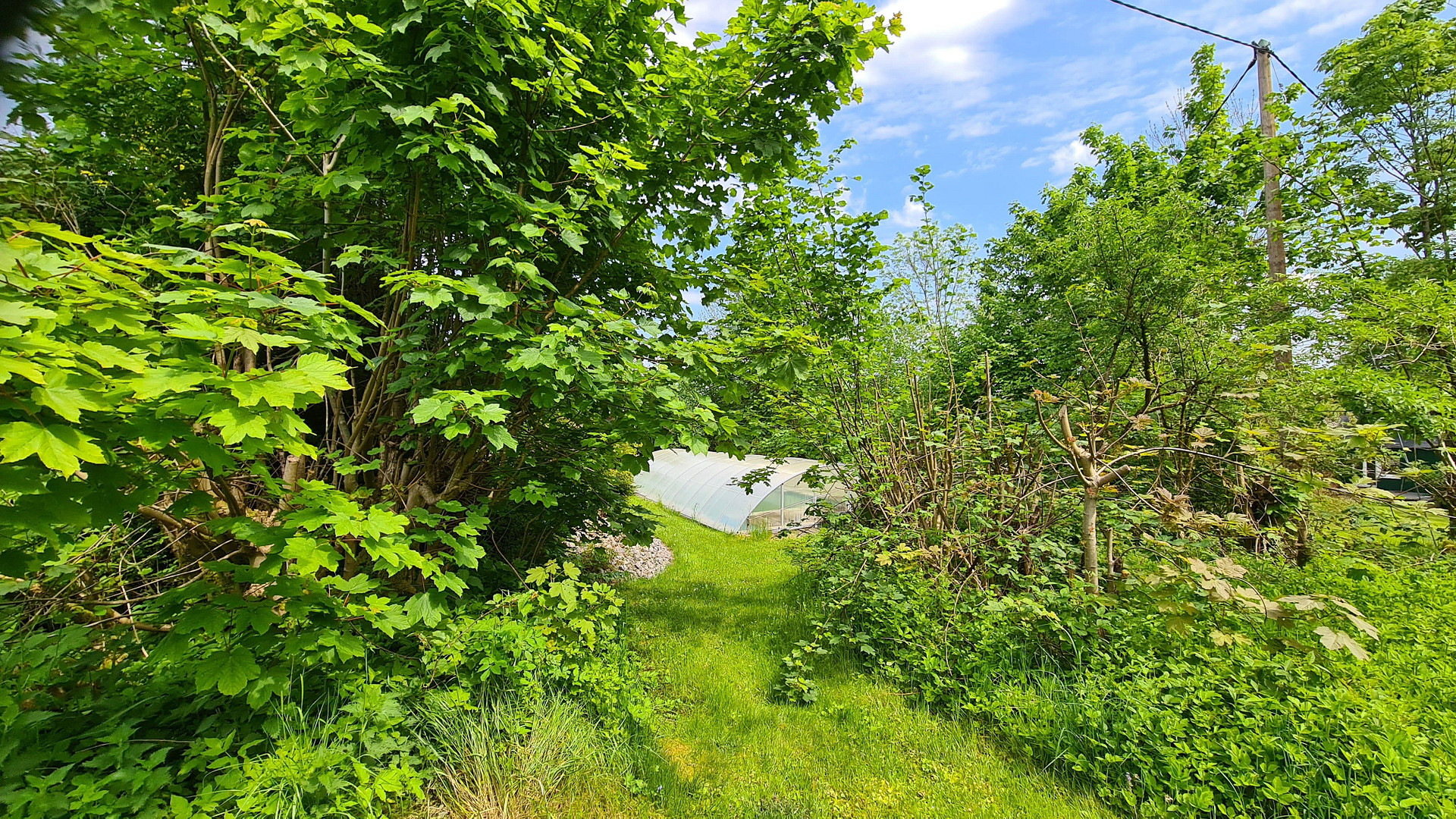 Großes Einfamilienhaus – Weitefeld – Vorschaubild 29