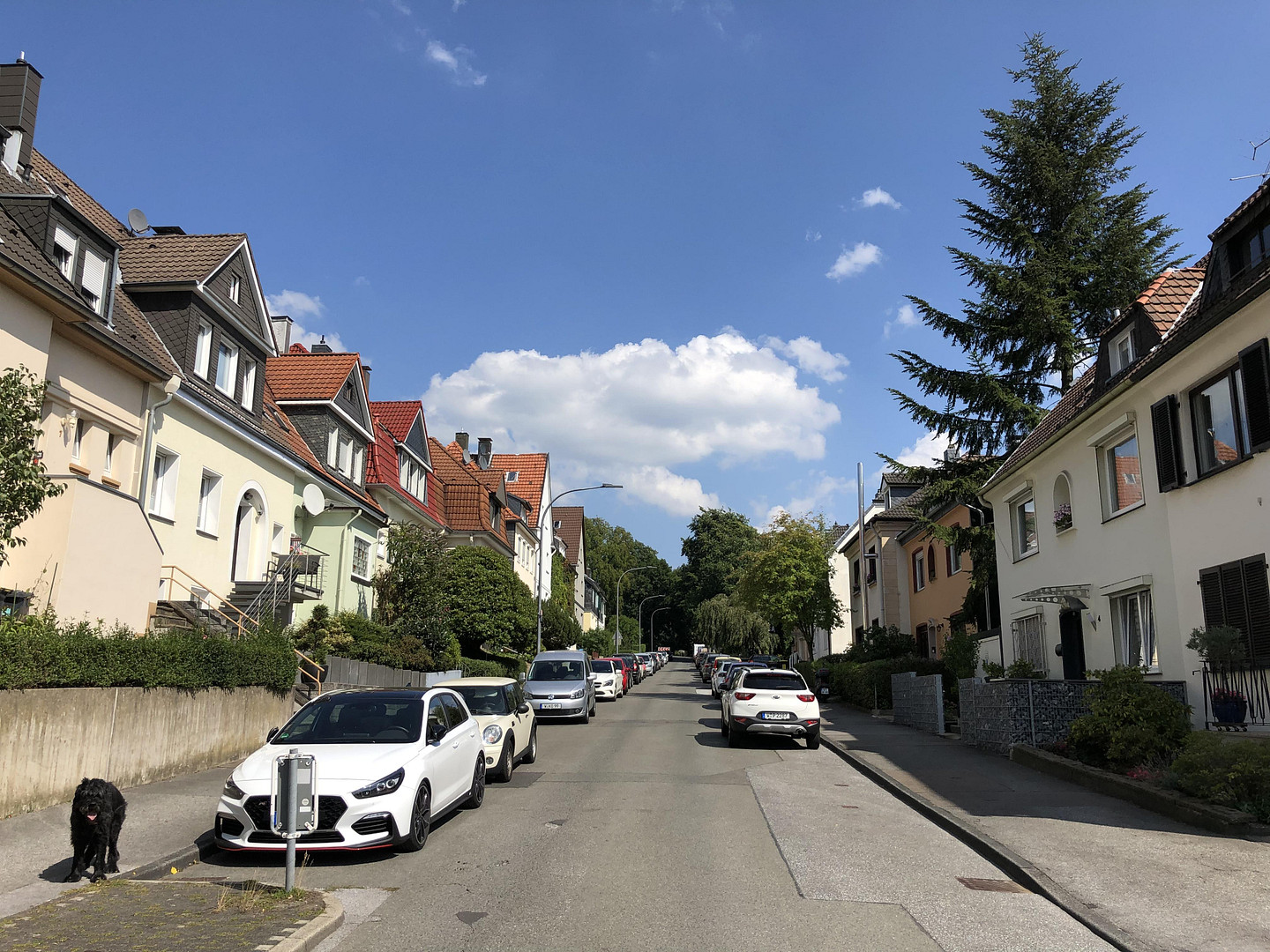 Ohne Makler - Ein- / Mehrfamilienhaus mit Garten – Wuppertal(Barmen) – Vorschaubild 18