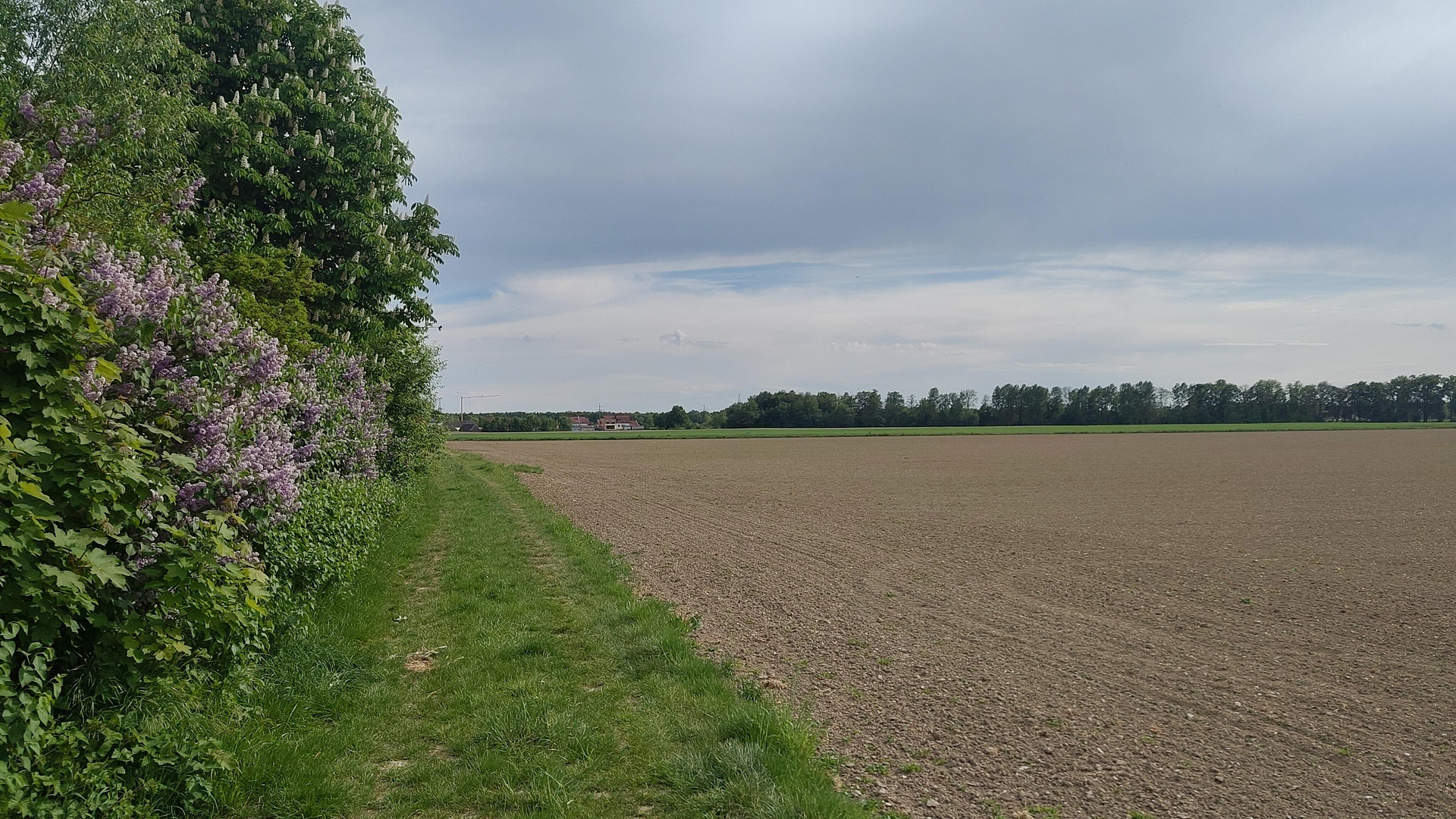 Provisionsfrei ! Ein / Zweifamilienhaus in wunderschöner Lage Ingolstadt Süd, mit toller Fernsicht – Ingolstadt(Hagau) – Vorschaubild 19