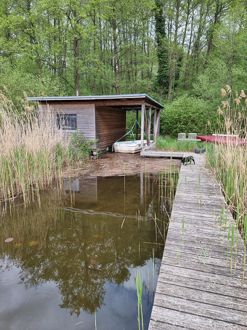 Haus und Bootshaus - Land- und Wasseridylle – Birkenweg 6, 16831 Rheinsberg OT Großzerlang – Vorschaubild 29
