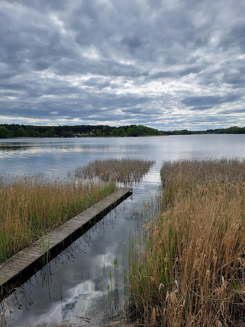 Haus und Bootshaus - Land- und Wasseridylle – Birkenweg 6, 16831 Rheinsberg OT Großzerlang – Vorschaubild 28