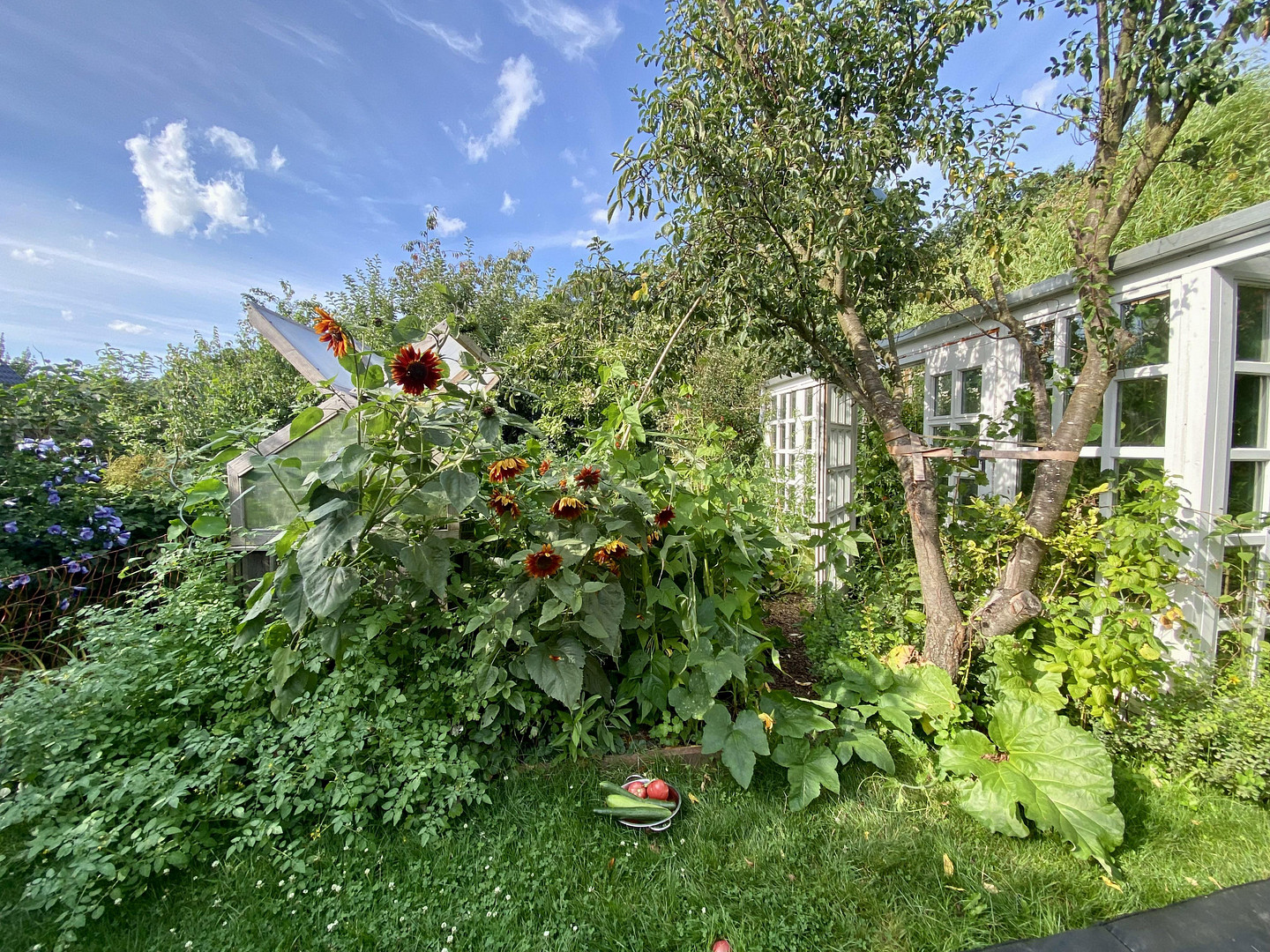 Energetisch saniertes Familienhaus mit separatem Studio, Naturgarten & Waldrandlage – Celle(Wietzenbruch) – Vorschaubild 30