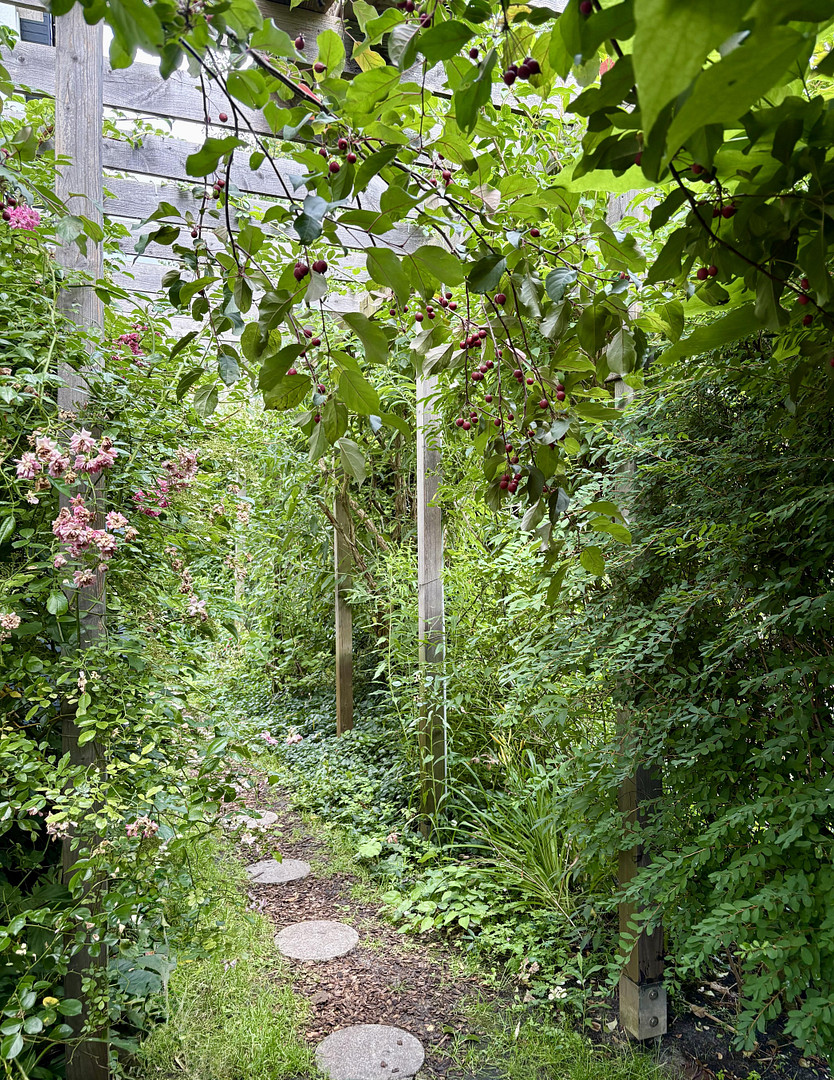 Energetisch saniertes Familienhaus mit separatem Studio, Naturgarten & Waldrandlage – Celle(Wietzenbruch) – Vorschaubild 29