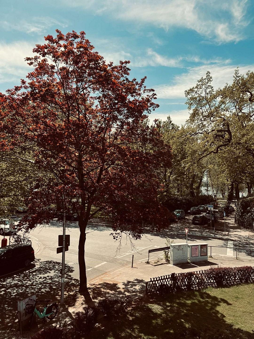 Helle 1-Zimmer-Wohnung mit Teil-Alsterblick - nur 50m zur Alster – Hamburg(Uhlenhorst) – Vorschaubild 6