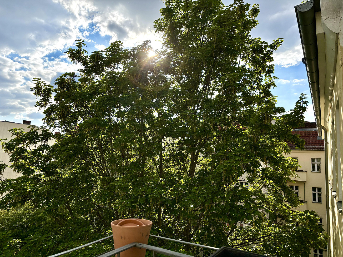 Helle 3-Zimmer-Wohnung mit Balkon & Grünblick im ruhigen Gartenhaus – Boxhagener Kiez – Boxhagener Straße 59, 10245 Berlin(Friedrichshain) – Vorschaubild 14
