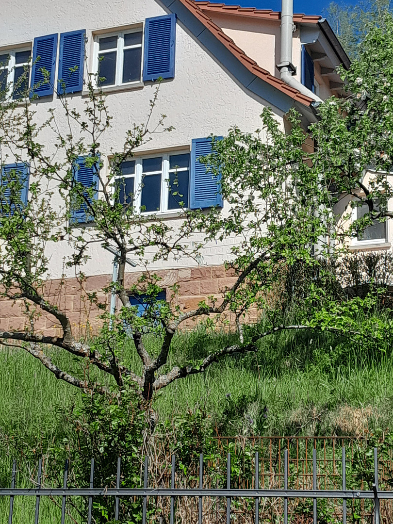 Einfamilienhaus – Sinntal(Jossa) – Vorschaubild 2