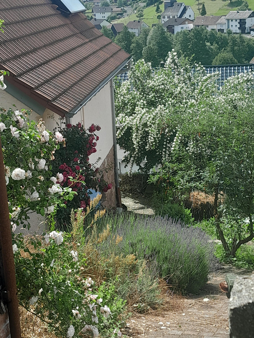 Einfamilienhaus – Sinntal(Jossa) – Vorschaubild 5