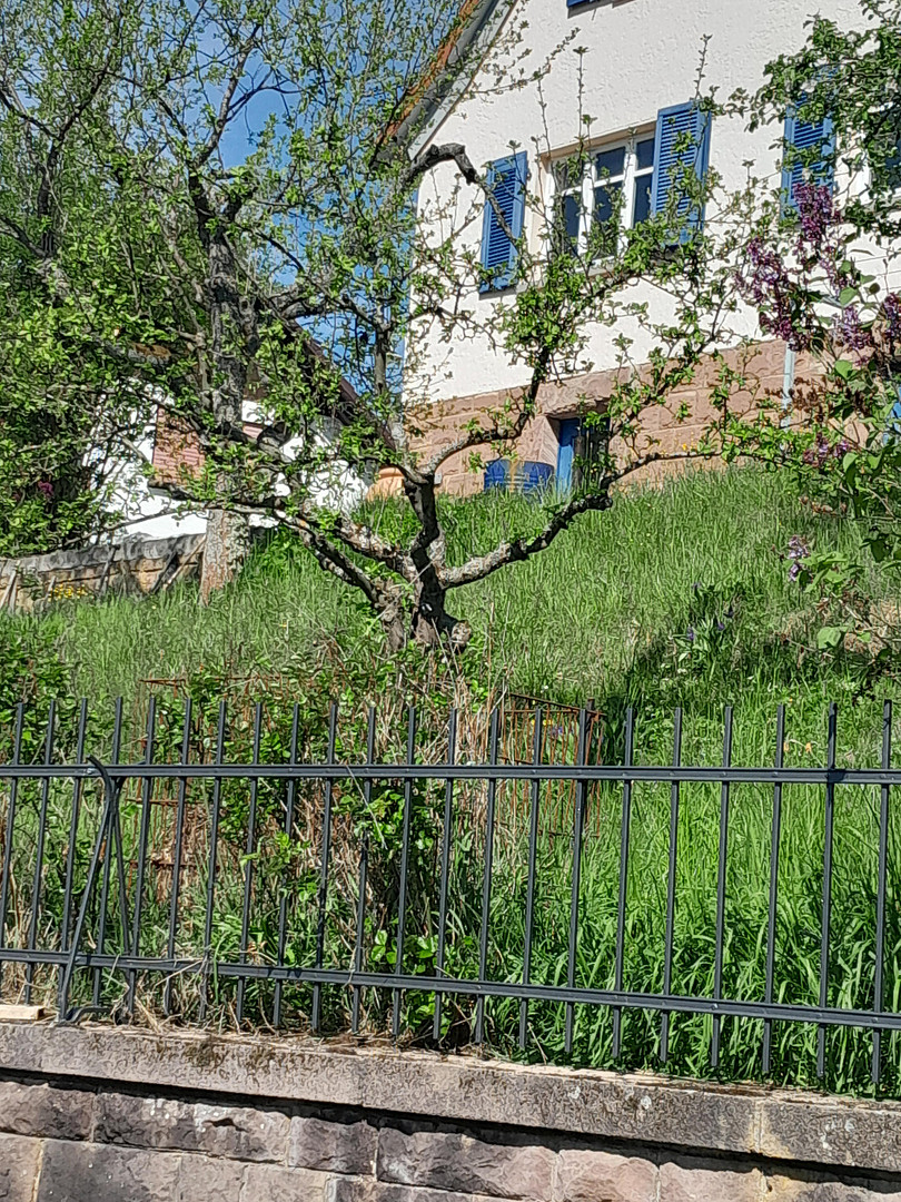 Einfamilienhaus – Sinntal(Jossa) – Vorschaubild 3