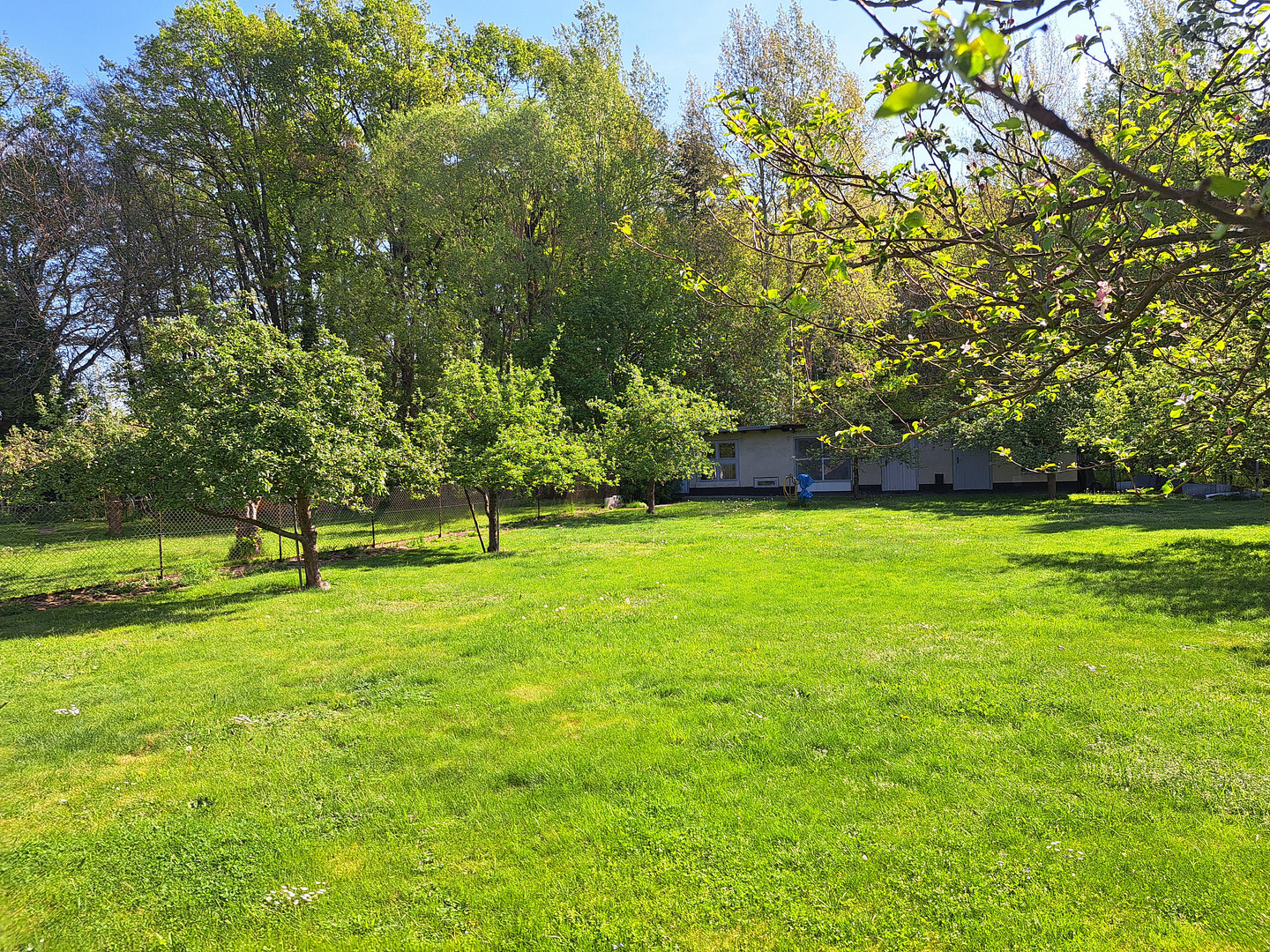 Willkommen in Ihrem neuen Zuhause mit hübschem großem Garten in guter Lage von Spremberg! – Spremberg – Vorschaubild 17