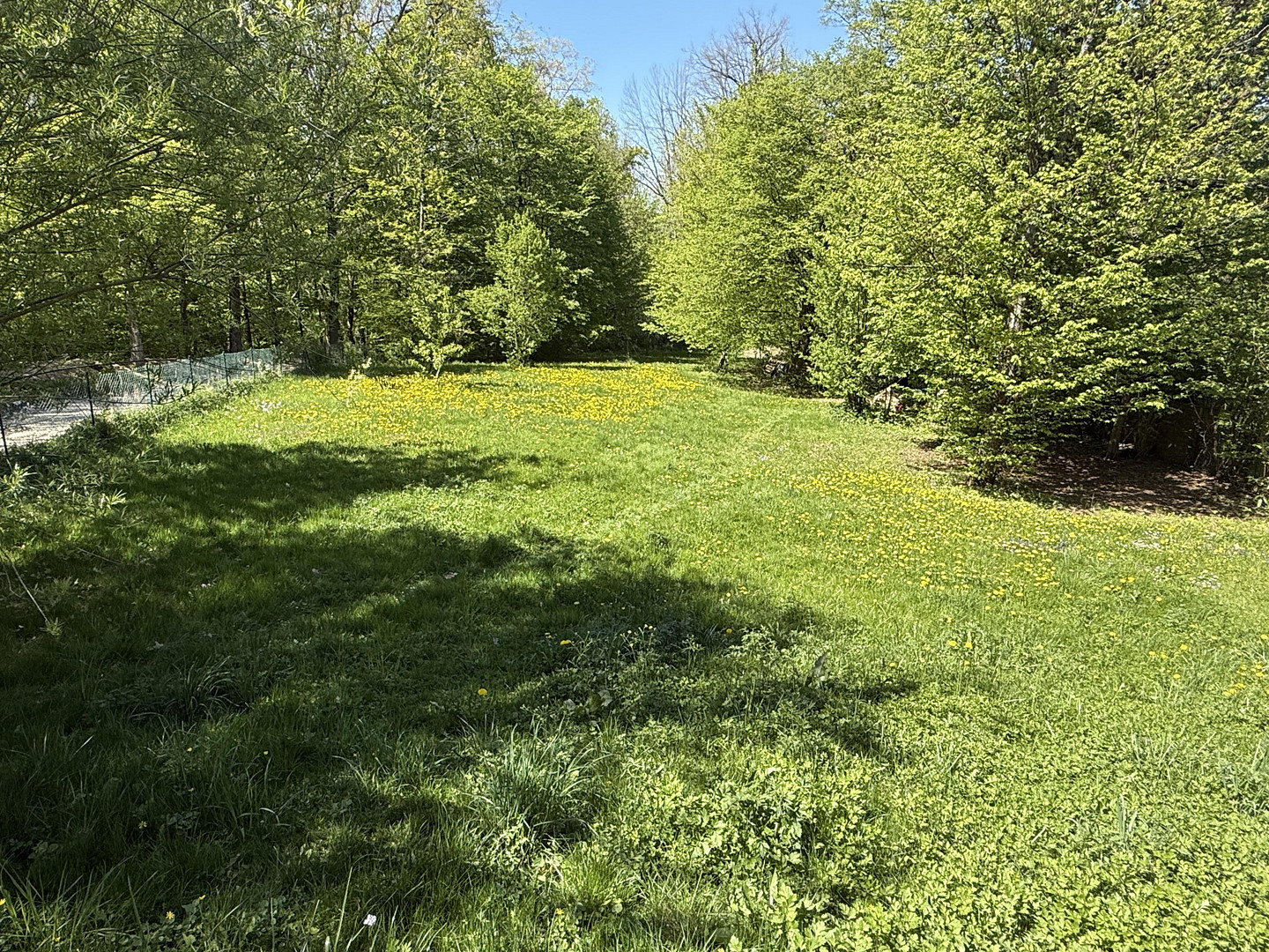 Wohnen wie im Urlaub – Naturidyll mit Weitblick, Ruhe und hohen Wohnkomfort am Michelsberg – Hersbruck – Vorschaubild 28