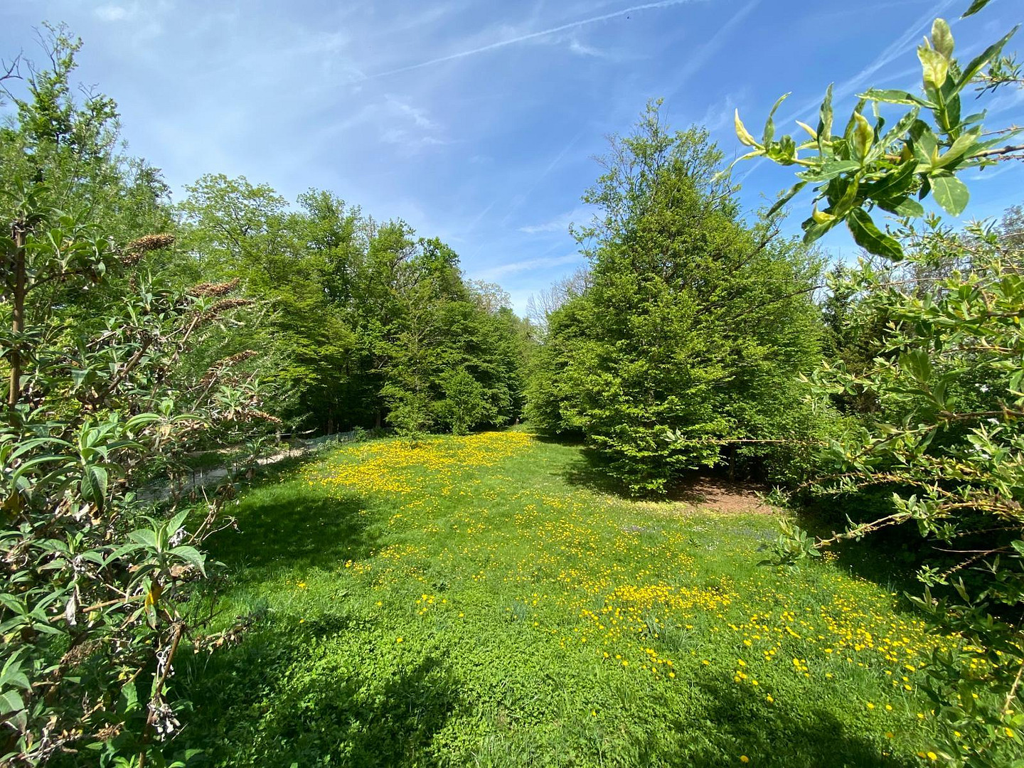 Wohnen wie im Urlaub – Naturidyll mit Weitblick, Ruhe und hohen Wohnkomfort am Michelsberg – Hersbruck – Vorschaubild 16