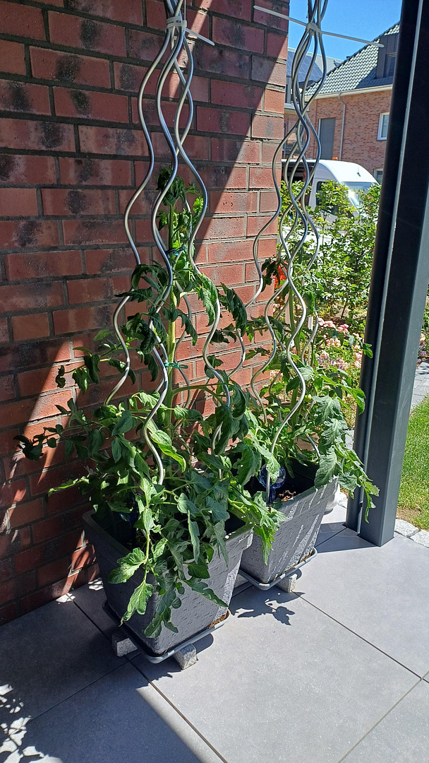 reserviert - 3 Zi-EG-Wohnung mit riesiger Süd-West-Terrasse im Hanseviertel von Lüneburg – Lüneburg – Vorschaubild 24