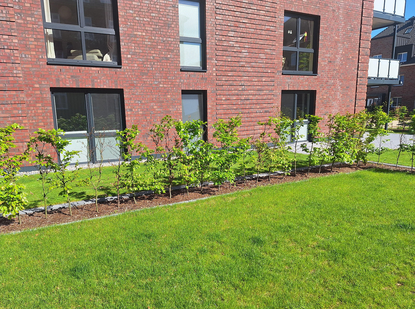 reserviert - 3 Zi-EG-Wohnung mit riesiger Süd-West-Terrasse im Hanseviertel von Lüneburg – Lüneburg – Vorschaubild 5
