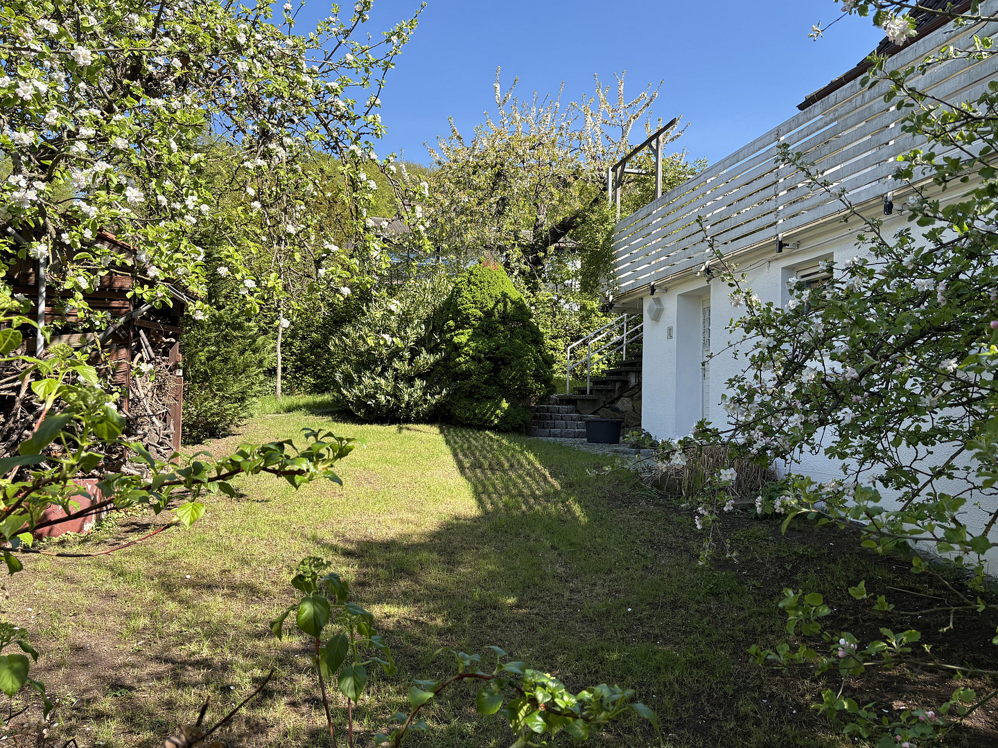 Einfamilienhaus am Königsberg – Bad Pyrmont – Vorschaubild 11
