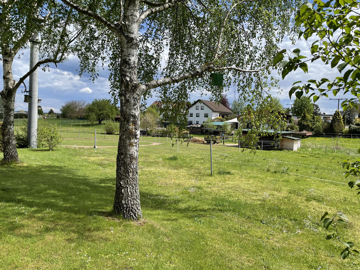 Wunderschön gelegenes Wohnhaus in Montabaur-Horressen – Im Wiesengrund 34, 56410 Montabaur(Horressen) – Vorschaubild 3
