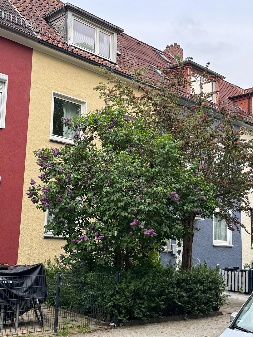 Kleines MFH mit drei Wohnungen und Garten - Bremen-Osterfeuerberg – 28219 Bremen-Osterfeuerberg(Osterfeuerberg) – Vorschaubild 2