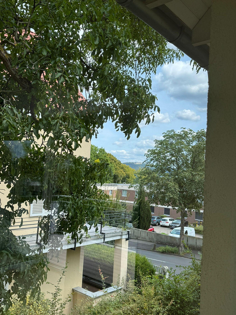 Ab sofort und von Privat! Traumlage in Schweinheim: 3 Zimmer, großer Balkon, 2 Bäder, 1. OG – Horionstr. 42, 53177 Bonn(Schweinheim) – Vorschaubild 9
