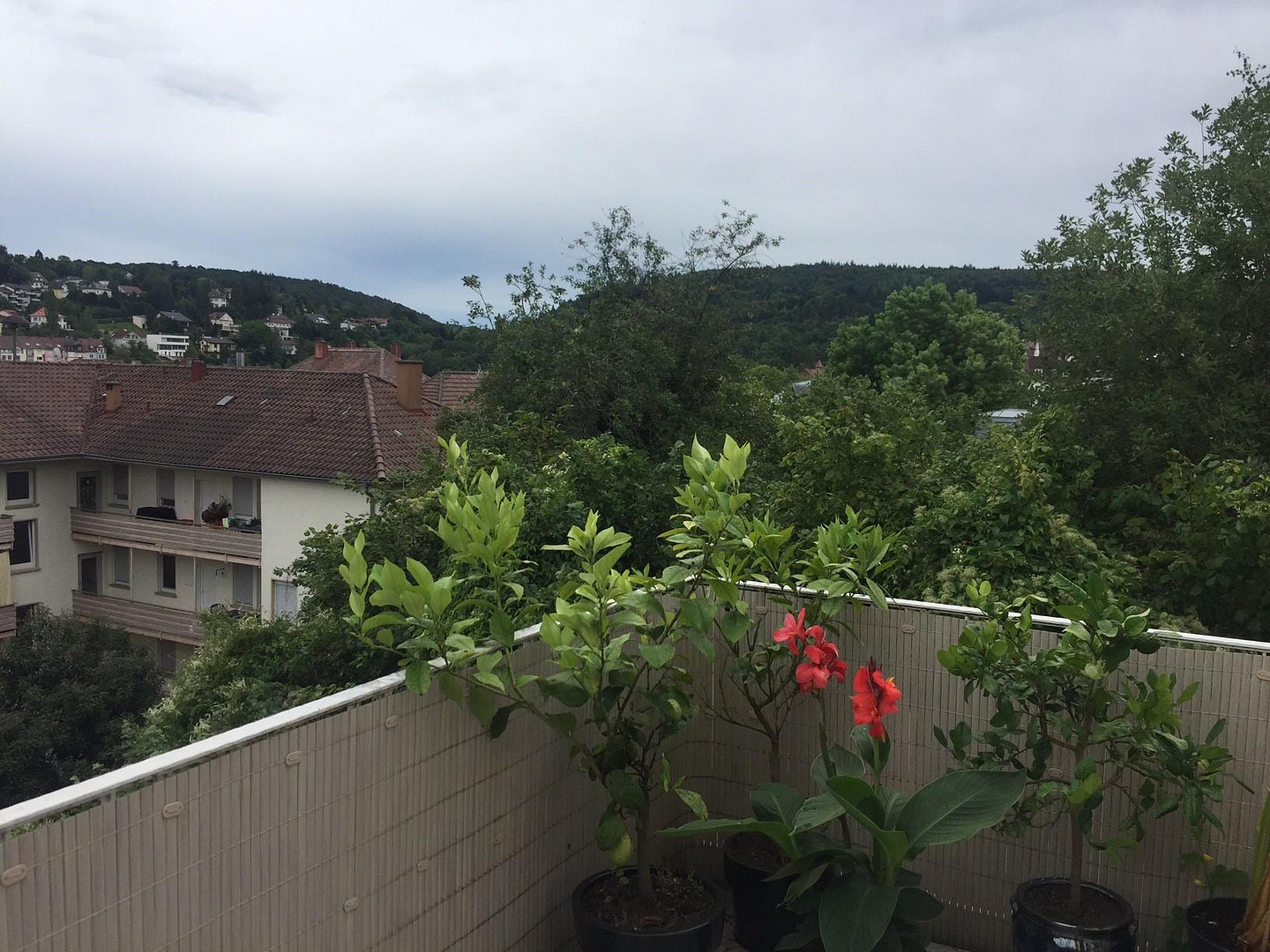 gehobene 3 Zimmerwohnung in der Friedenstrasse von privat – Friedenstrasse 11, 75173 Pforzheim – Vorschaubild 13