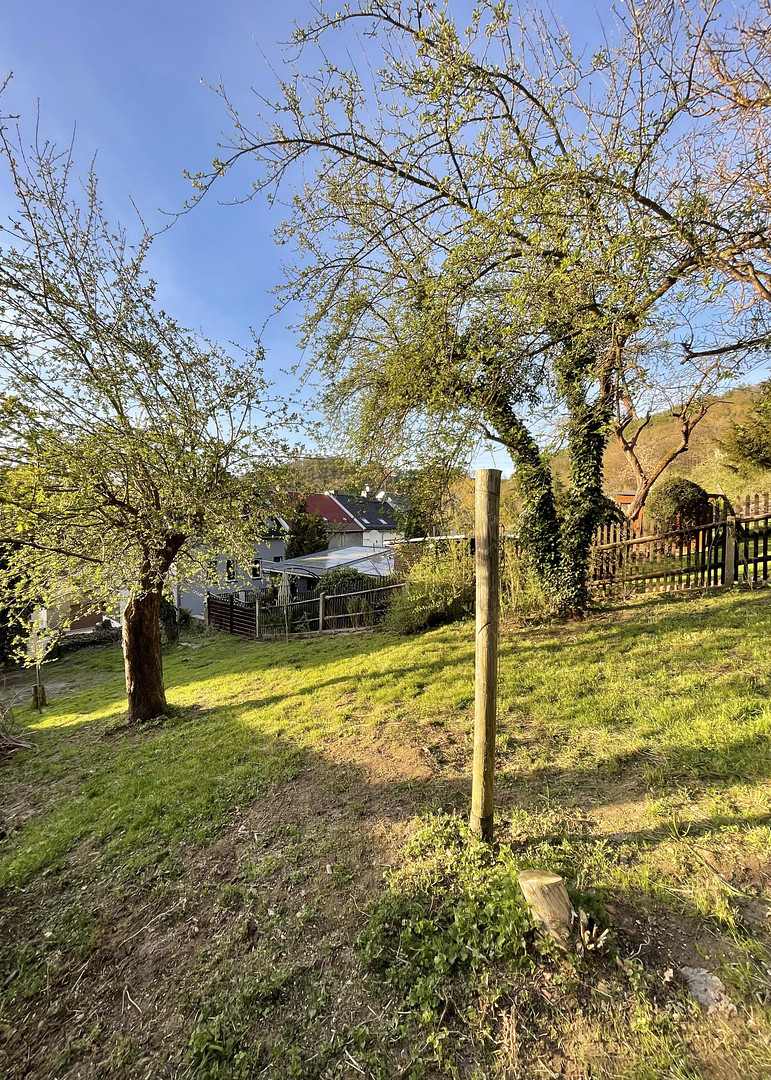 Einfamilienhaus mit Fachwerk & Garten - Erstbezug nach Sanierung – Elsterberg – Vorschaubild 13