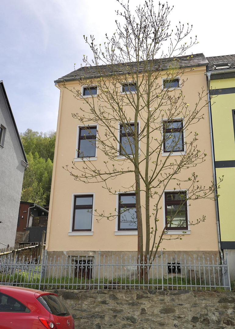 Einfamilienhaus mit Fachwerk & Garten - Erstbezug nach Sanierung – Elsterberg – Vorschaubild 9