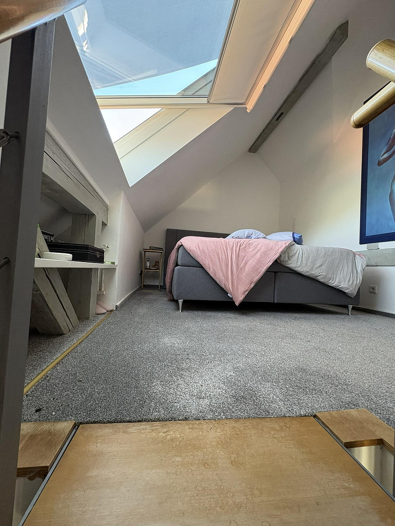 Außergewöhnliche DG-/Maisonettewohnung im Zooviertel – Großzügiges Wohnen, Blick in die Eilenriede – Hannover(Zoo) – Vorschaubild 14
