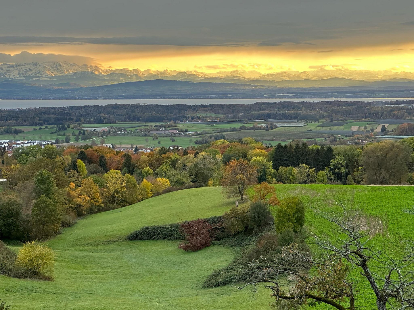 Exclusive 3-Zimmer-Wohnung mit Panoramablick über den Bodensee und die Schweizer Alpen. – Markdorf(Fitzenweiler) – Vorschaubild 7