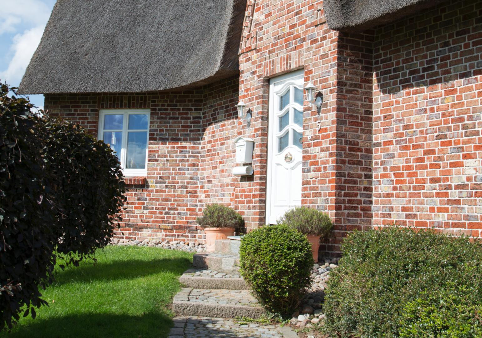 Reetgedecktes Warfthaus mit Elbblick in traumhafter Lage – Glückstadt – Vorschaubild 5