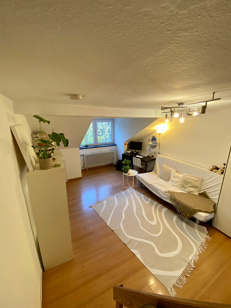 Ruhiges Dachgeschoss in Bestlage! Unvermietet! – Lindwurmstrasse 31, 80337 München(Ludwigsvorstadt) – Vorschaubild 10