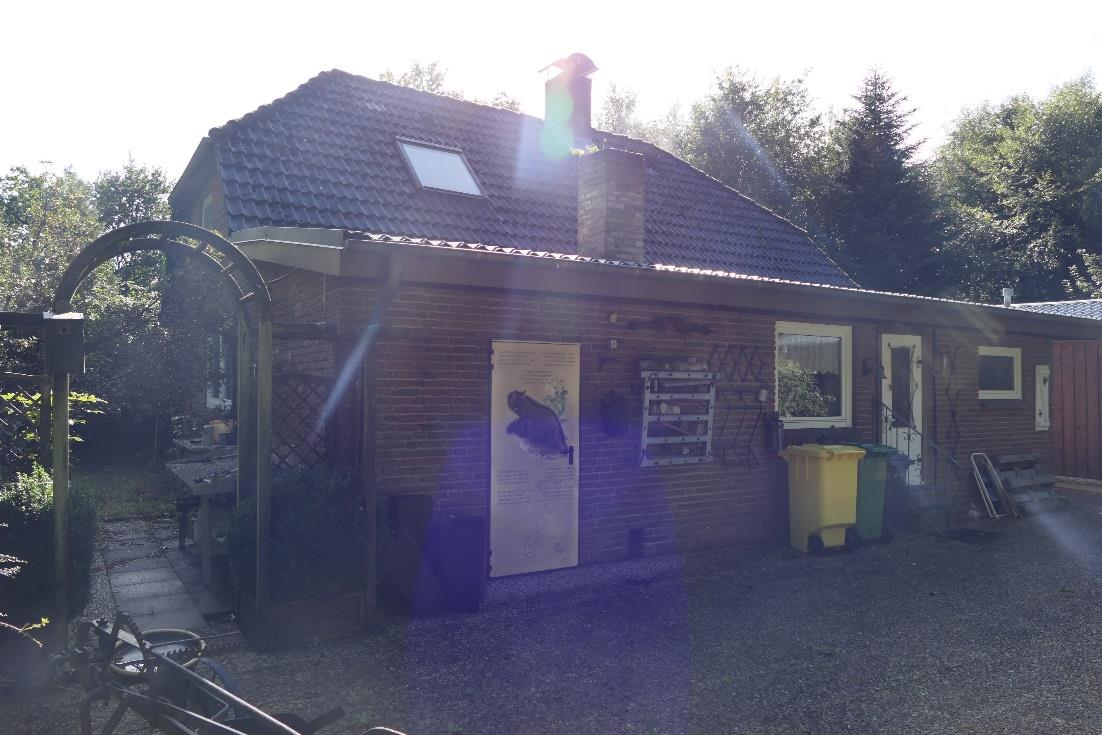 Idyllisches Anwesen mit Waldgrundstück bei Husum – Husum – Vorschaubild 4
