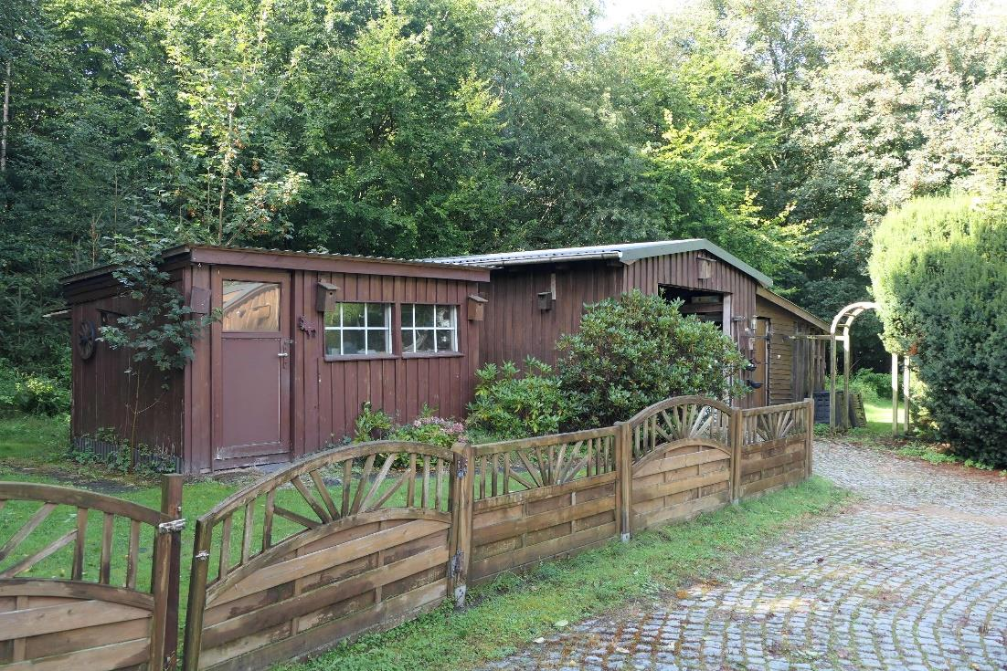 Idyllisches Anwesen mit Waldgrundstück bei Husum – Husum – Vorschaubild 8