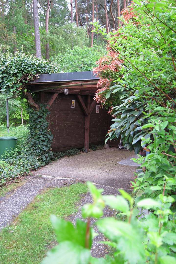 Charmantes und top gepflegtes Holzhaus mit großem Garten / Einfamilienhaus – Neuenkirchen – Vorschaubild 19