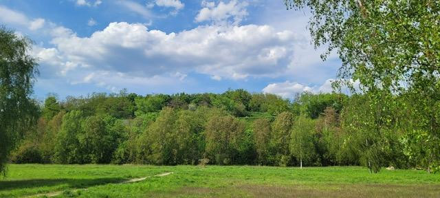 Direkt einziehen und wohlfühlen- Doppelhaushälfte im Grünen – Berlin(Rudow) – Vorschaubild 26