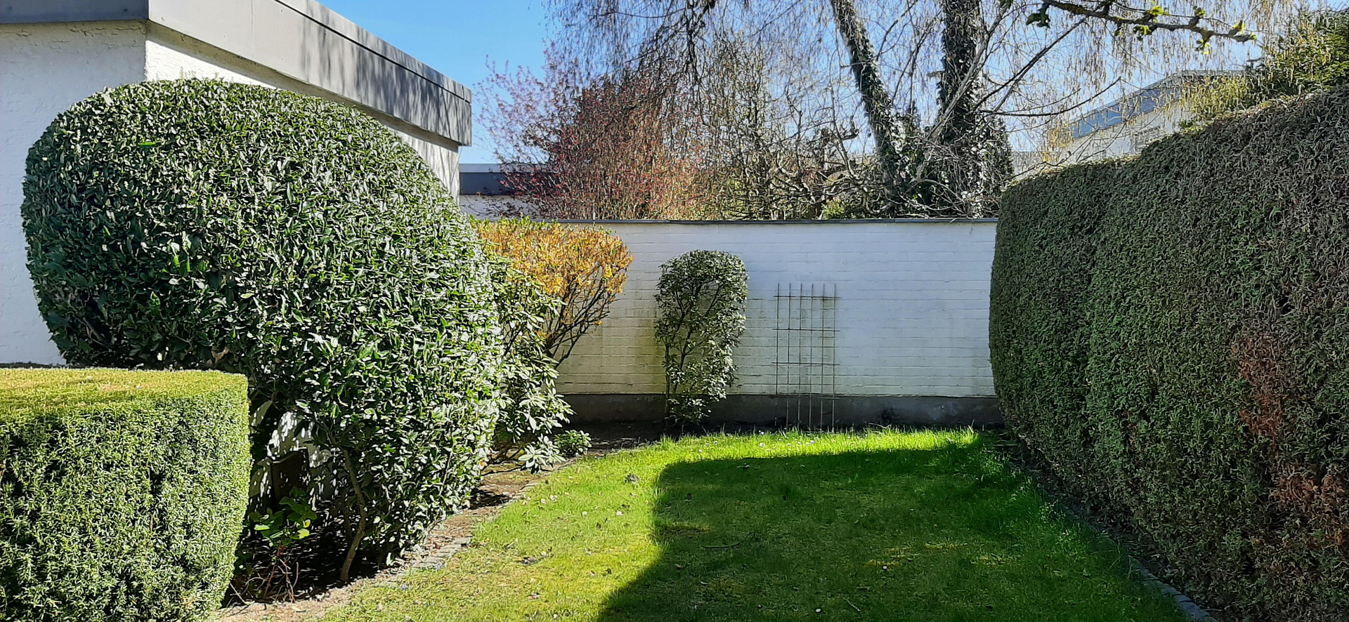 Lichtdurchfluteter Bungalow im Grünen – Bonn(Ippendorf) – Vorschaubild 11