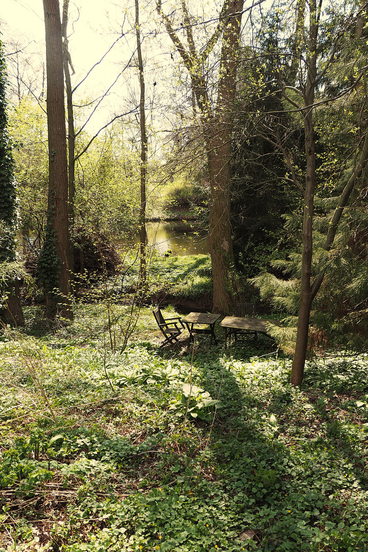 Doppelhaushälfte mit großem Garten in Dresden-Schönfeld, provisionsfrei – Dresden-Schönfeld(Schönfeld) – Vorschaubild 4