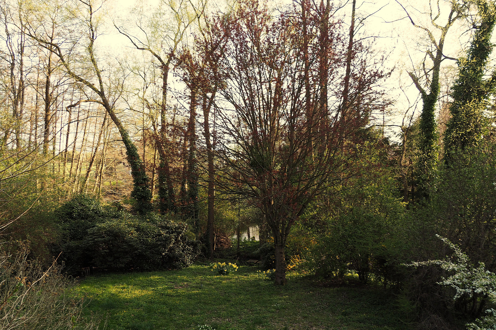 Doppelhaushälfte mit großem Garten in Dresden-Schönfeld, provisionsfrei – Dresden-Schönfeld(Schönfeld) – Vorschaubild 3