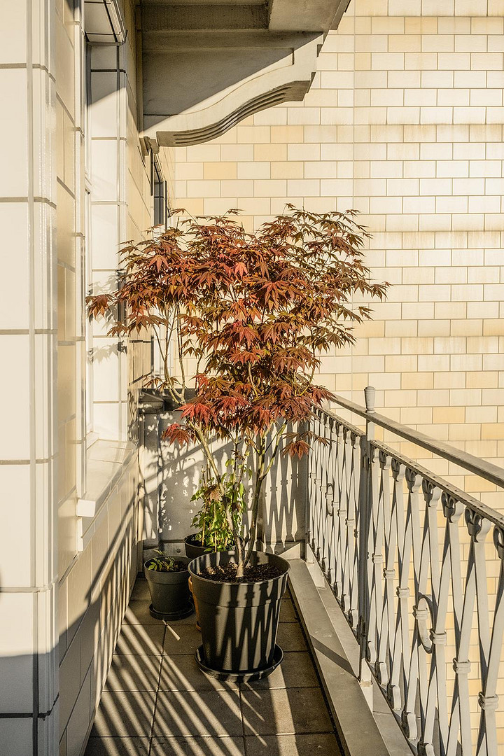 Provisionsfrei - bezugsfreie sorgsam renovierte Wohnung im Baudenkmal im 4. OG mit Aufzug & Balkon – Berlin(Friedrichshain) – Vorschaubild 9