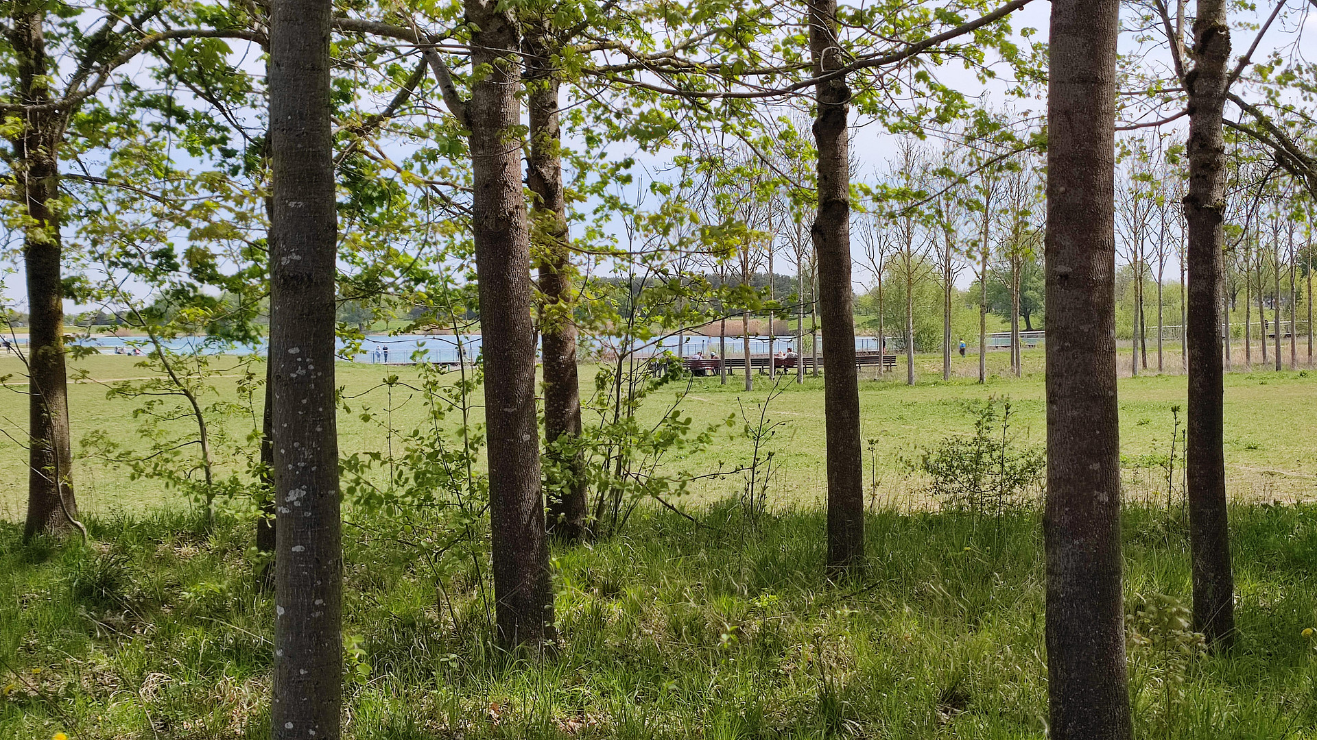 Riemer See Park – 3-Zi. 79 m², Loggia + TG/Wallbox, Vollbad + Minibad – frisch renoviert, 1. OG, A+ – Georg-Kerschensteiner-Straße 43, 81829 München(Riem) – Vorschaubild 19
