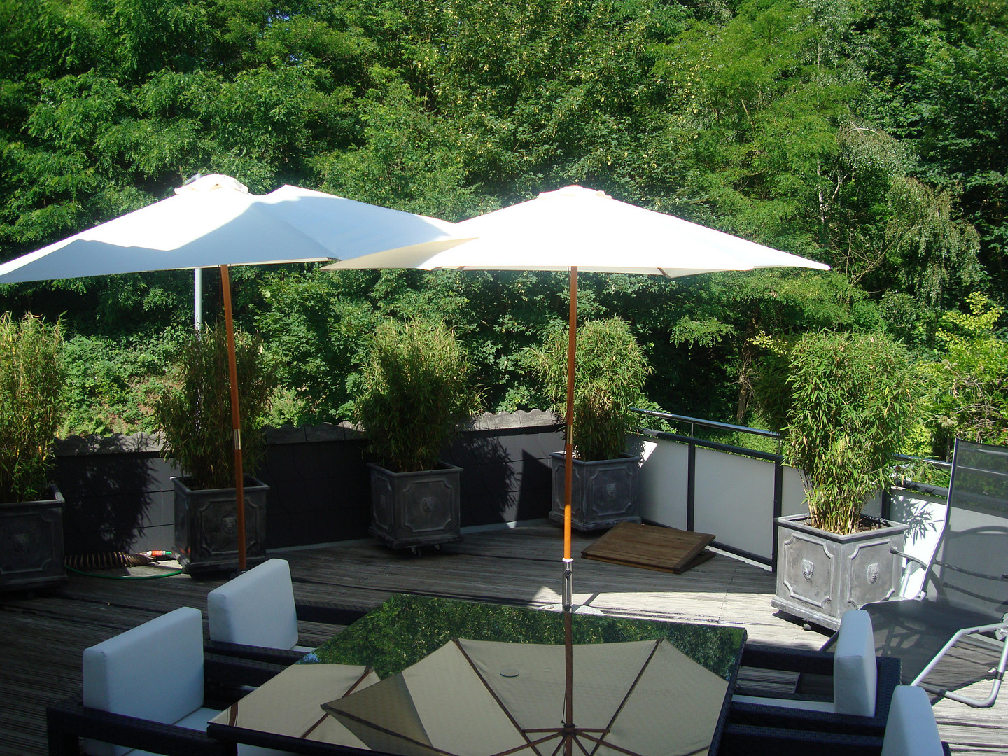 Keine Courtage! Luxuriöses Haus am Wald und doch in der Stadt- ruhige Toplage, vielseitig nutzbar – Saarbrücken(Neuscheidt) – Vorschaubild 7