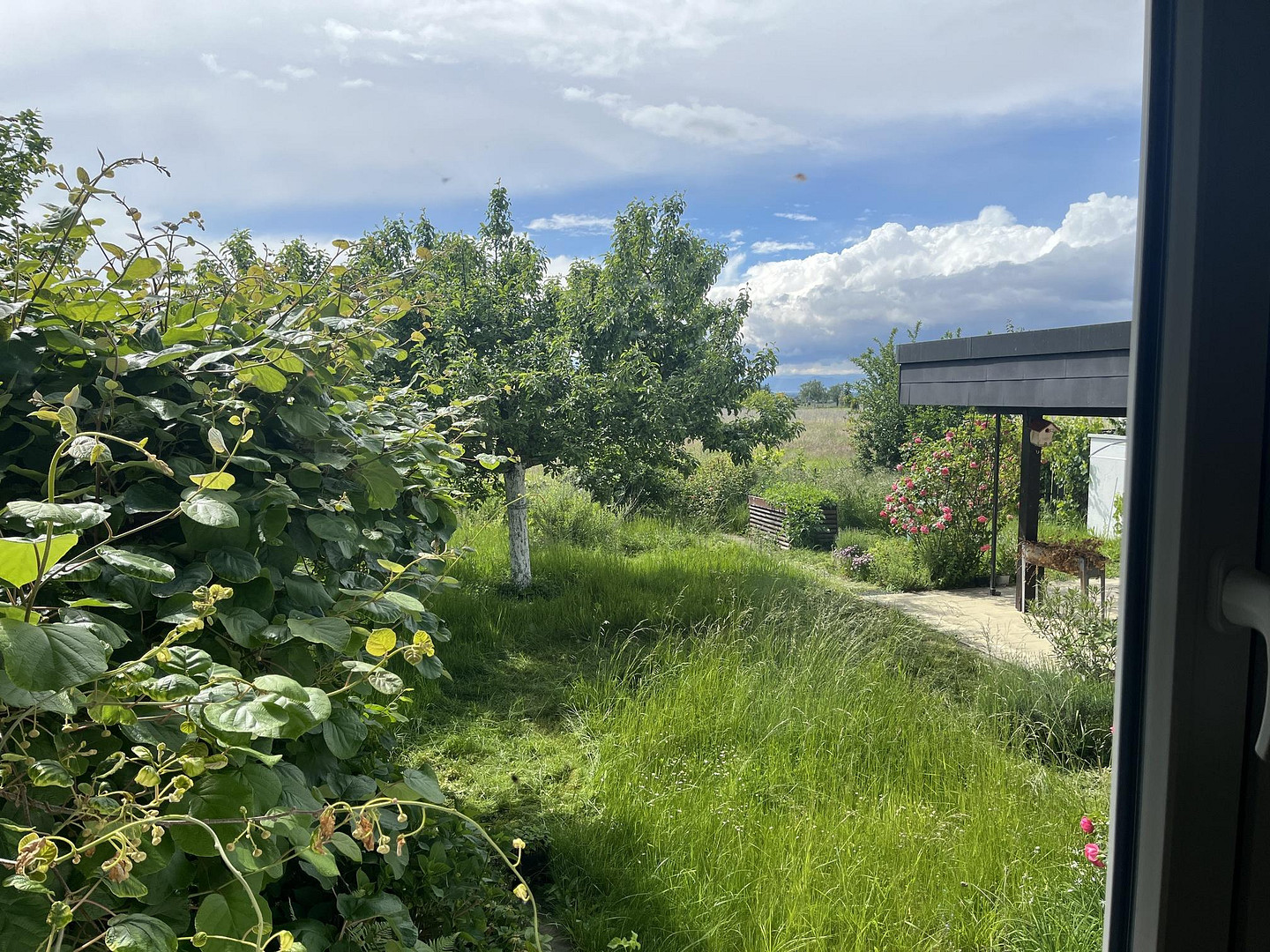 Staufen im Breisgau: Einfamilienhaus mit fünf Zimmern - provisionsfrei – Stiegelenweg 6, 79219 Staufen(Staufen im Breisgau) – Vorschaubild 17