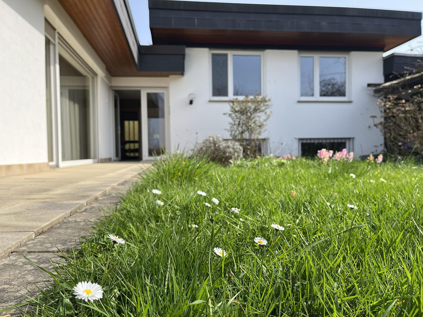 Staufen im Breisgau: Einfamilienhaus mit fünf Zimmern - provisionsfrei – Stiegelenweg 6, 79219 Staufen(Staufen im Breisgau) – Vorschaubild 16