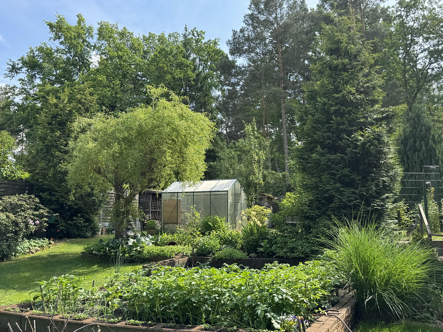 Parkähnliches Traumgrundstück mit Zugang zum Stolzenhagener See - teilbar & vielseitig nutzbar – Wandlitz – Vorschaubild 11