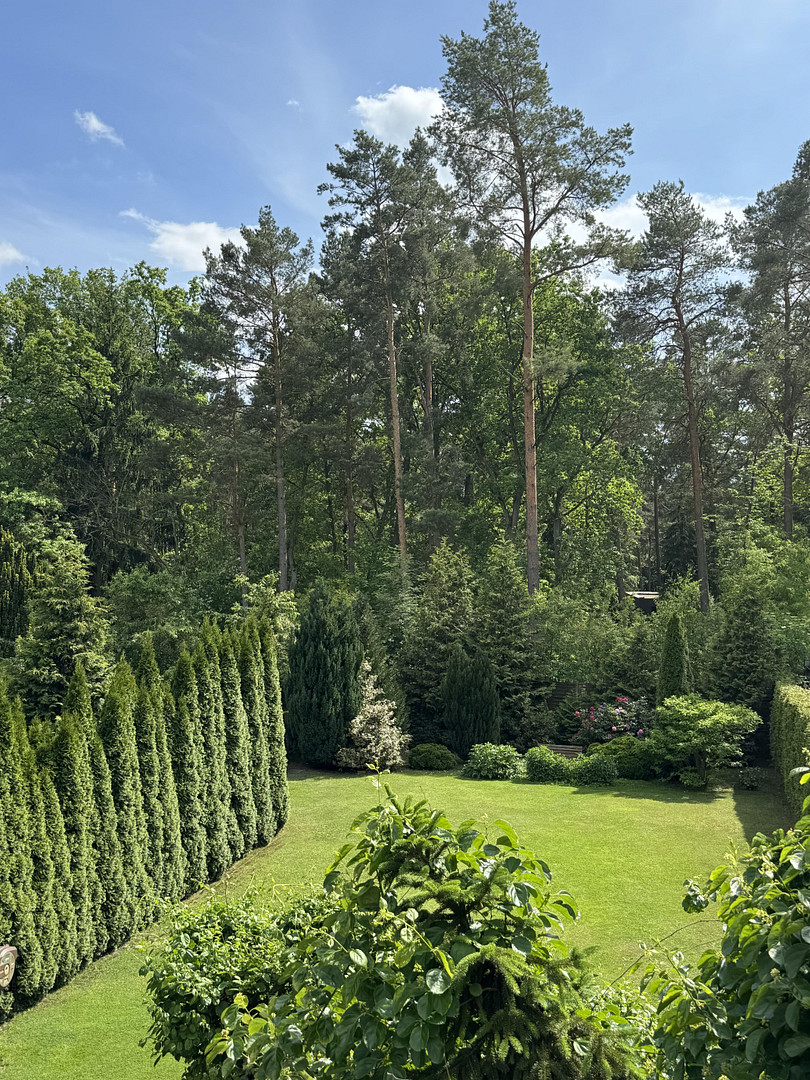 Parkähnliches Traumgrundstück mit Zugang zum Stolzenhagener See - teilbar & vielseitig nutzbar – Wandlitz – Vorschaubild 16