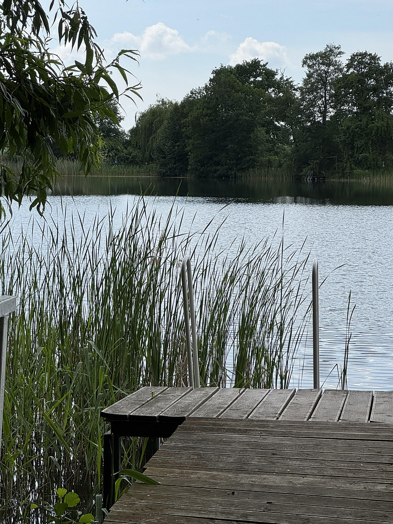 Parkähnliches Traumgrundstück mit Zugang zum Stolzenhagener See - teilbar & vielseitig nutzbar – Wandlitz – Vorschaubild 17