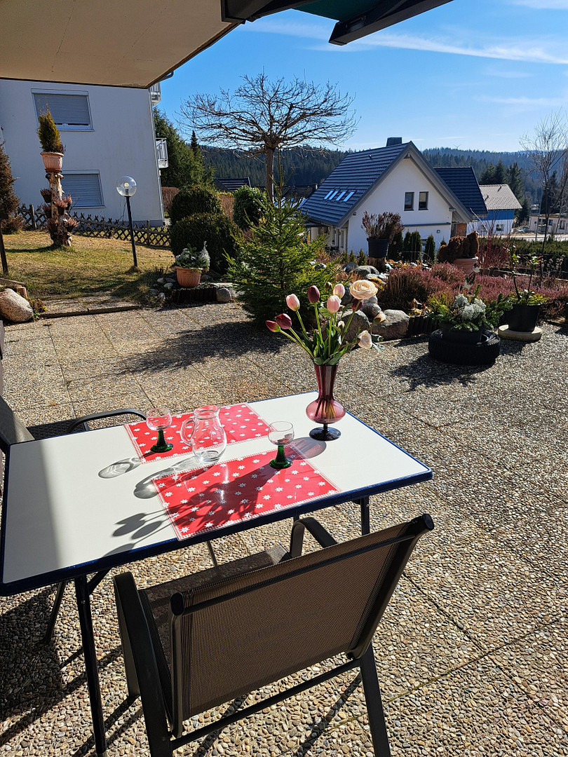 Top MFH mit Panorama-/Schluchseeblick und drei lukrativ vermieteten "Traum"ferienwohnungen – Lärchenweg 5, 79859 Schluchsee – Vorschaubild 38