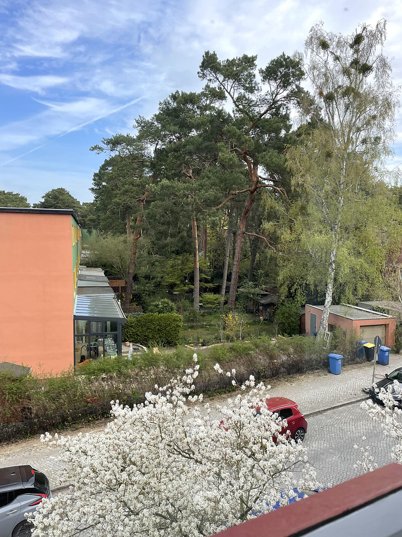 Direkt einziehen: Bruno Taut Reihenhaus, vollständig & denkmalgerecht saniert – Hochsitzweg 115, 14169 Berlin(Zehlendorf) – Vorschaubild 16