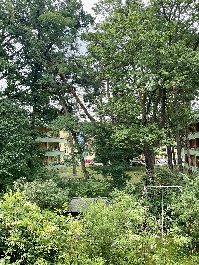 Direkt einziehen: Bruno Taut Reihenhaus, vollständig & denkmalgerecht saniert – Hochsitzweg 115, 14169 Berlin(Zehlendorf) – Vorschaubild 8