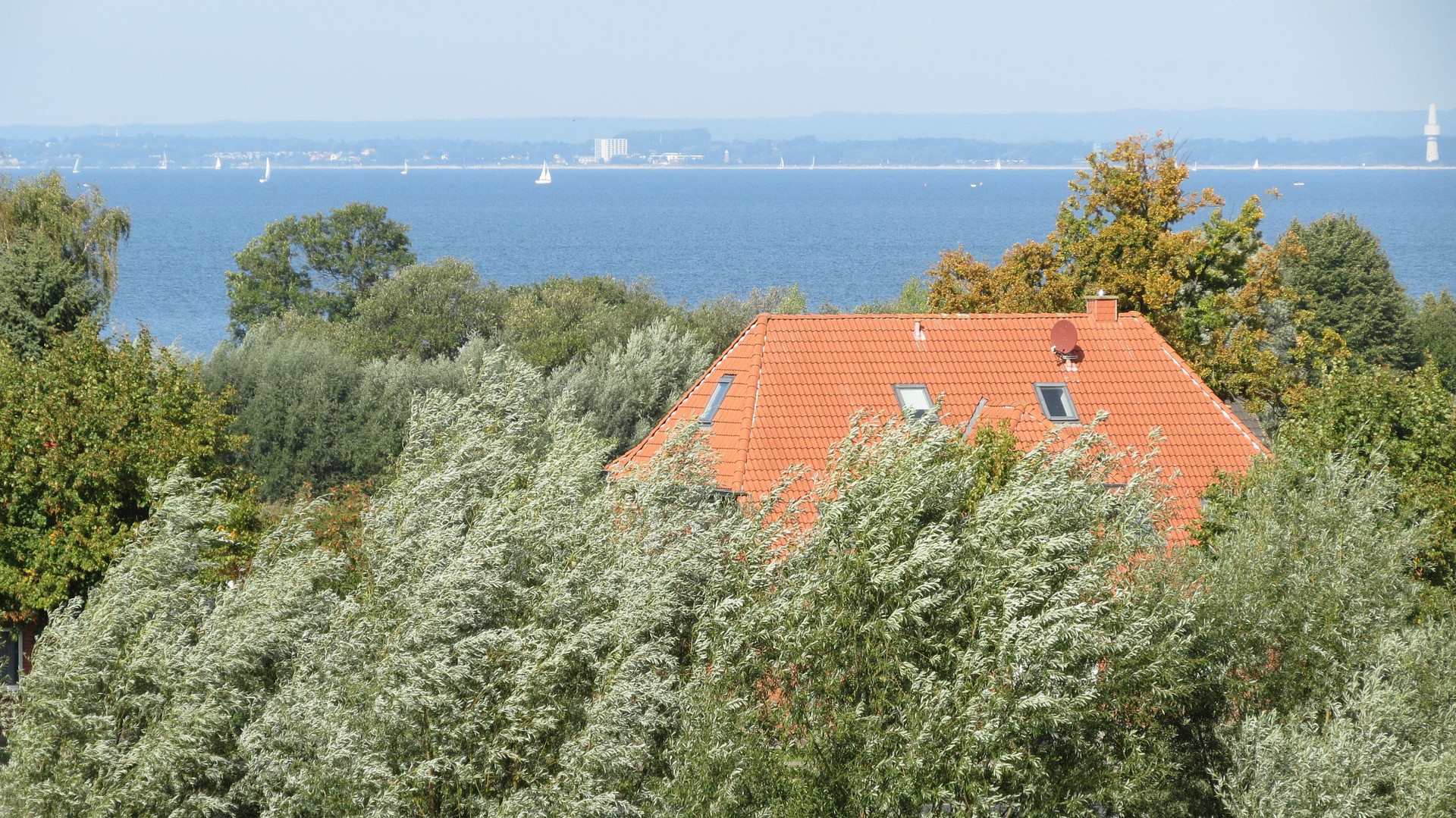 Ferienhaus mit Blick auf die Ostsee in Groß Schwansee – Binsenkoppel 38, 23942 Groß Schwansee – Vorschaubild 19