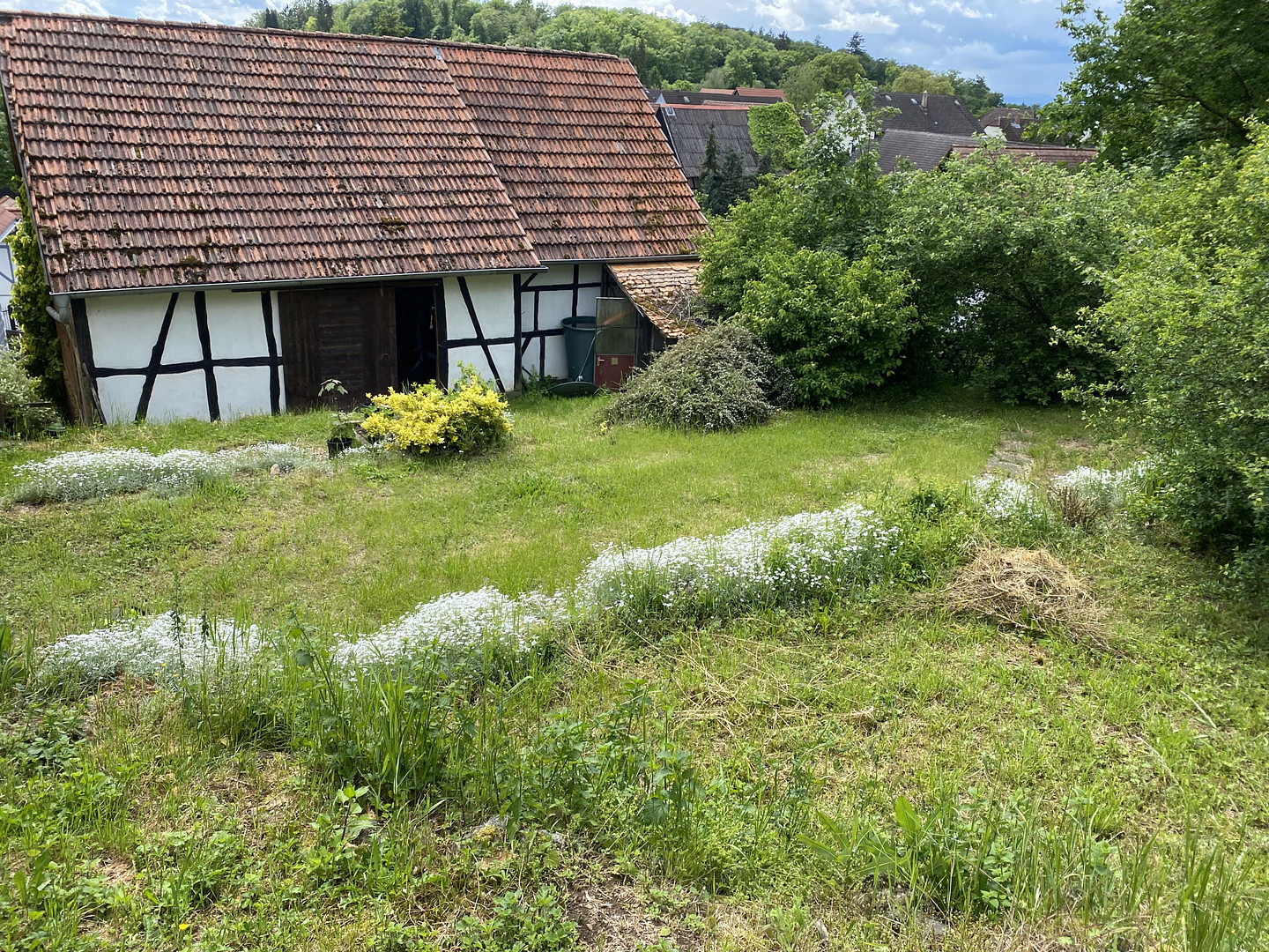 Charmantes Hofanwesen mit 3 Wohneinheiten, Garagen, Scheune und Hanggarten – Niddaer Str. 28, 61203 Reichelsheim(Blofeld) – Vorschaubild 8