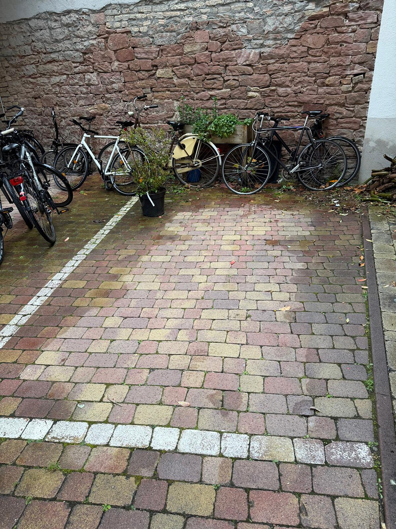 Kernsanierte Altbauwohnung in der Weststadt – Heidelberg(Bergheim) – Vorschaubild 18