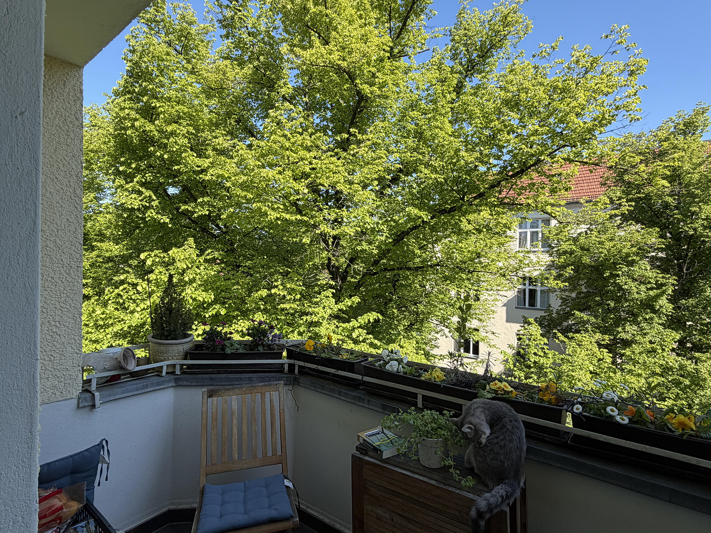 Provisionsfreie kernsanierte 5,5 Zimmer Wohnung in Schmagendorf – Berlin(Schmargendorf) – Vorschaubild 4